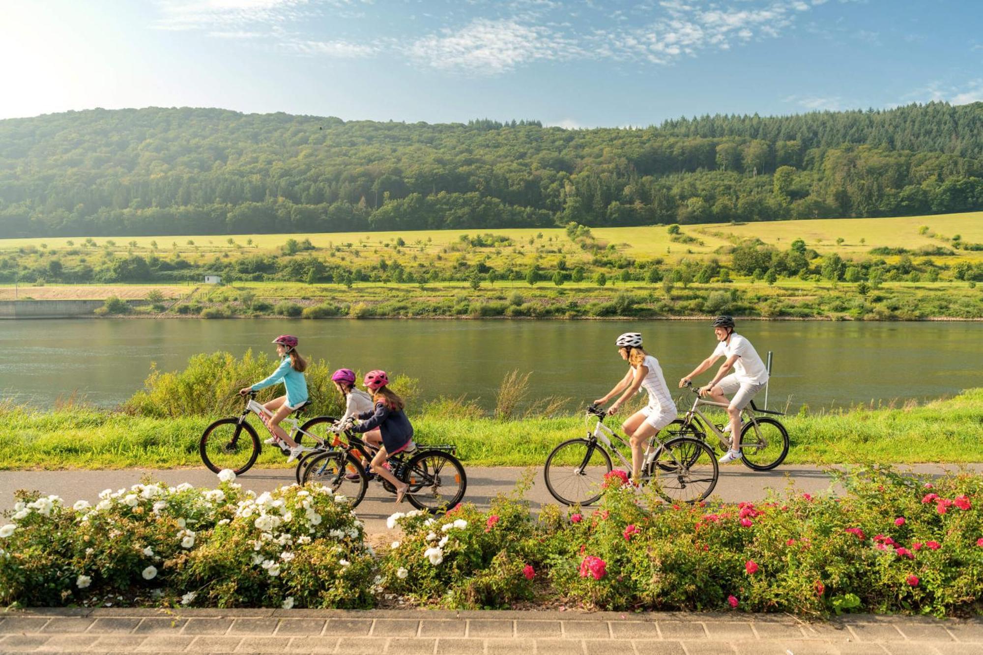 Gaestehaus Weingut Mathy-Schanz Osann-Monzel Bagian luar foto