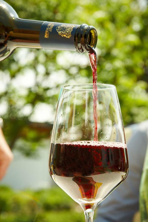Gaestehaus Weingut Mathy-Schanz Osann-Monzel Bagian luar foto