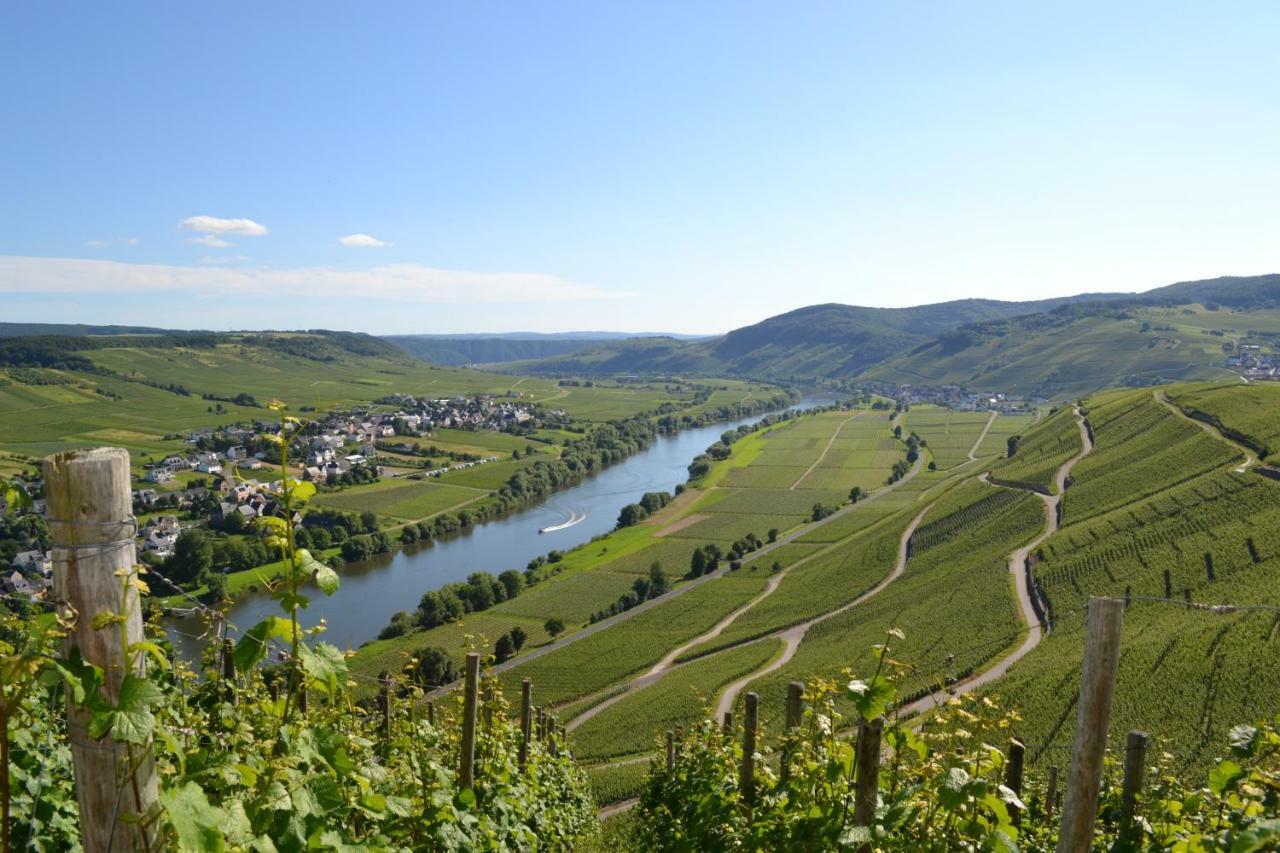 Gaestehaus Weingut Mathy-Schanz Osann-Monzel Bagian luar foto